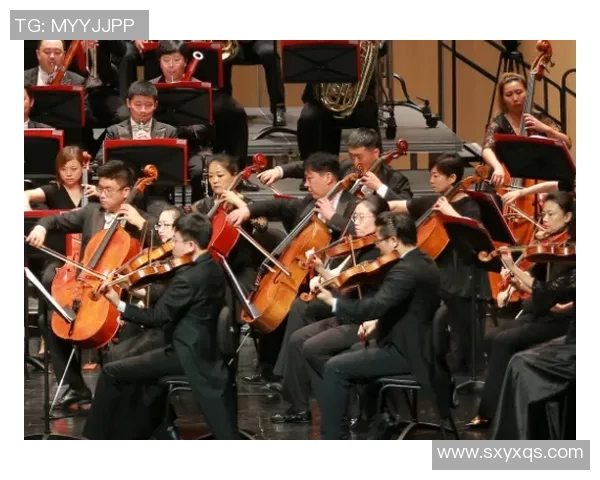 斯通斯乐队的传奇历程与音乐影响力探讨